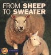 From sheep to sweater