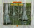 About habitats : wetlands