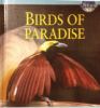 Birds Of Paradise