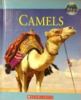 Camels