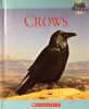 Crows