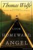 Look homeward, angel : a story of the buried life