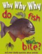 Why why why do fish bite?.