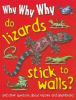 Why Why Why Do Lizards Stick To Walls?.