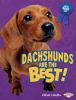 Dachshunds Are The Best!