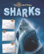 EXPLORE AND DRAW: SHARKS : DRAWING AND READING