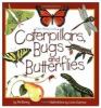 Caterpillars, Bugs, And Butterflies