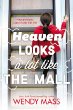Heaven looks a lot like the mall : a novel