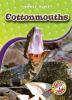 Cottonmouths