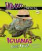 Iguanas : cool pets!