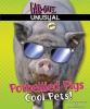 Potbellied Pigs : cool pets!