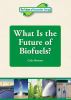 What is the future of biofuels?