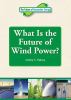 What is the future of wind power?