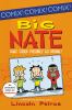 Big Nate : What could possibly go wrong?