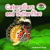 Caterpillars And Butterflies