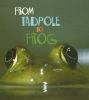 From tadpole to frog