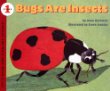 Bugs are insects