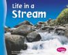 Life in a stream