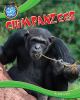 Chimpanzees