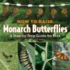 How To Raise Monarch Butterflies : a step-by-step guide for kids