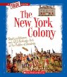 The New York colony