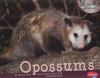 Opossums