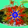 Who lives in a colorful coral reef?