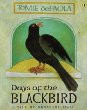 Days of the blackbird : a tale of northern Italy