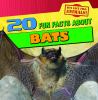 20 Fun Facts About Bats