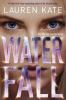 Waterfall : a Teardrop novel