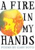 A fire in my hands : a book of poems