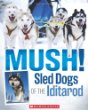 Mush! : sled dogs of the Iditarod