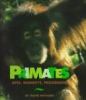 Primates : apes, monkeys, and prosimians