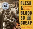 Flesh & blood so cheap : the Triangle Fire and its legacy