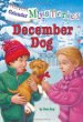 December dog
