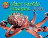 Giant Pacific octopus : the world's largest octopus