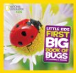 Little kids first big book of bugs