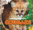 Cougars