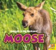 Moose