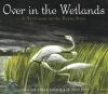 Over in the wetlands : a hurricane-on-the-bayou story