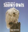 The many faces of Snowy Owls
