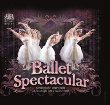 Ballet spectacular : a young ballet lover's guide and an insight into a magical world