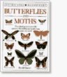 Butterflies and moths