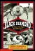 Black diamond : the story of the Negro baseball leagues