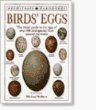 Birds' eggs