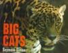 Big cats