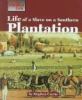 Life of a slave on a Southern plantation