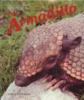 The armadillo