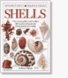 Shells