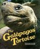 The Galapagos tortoise